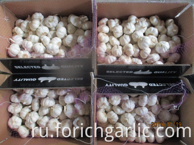 Best Quality Pure Garlic 5 0cm